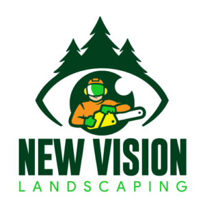 Nuevo logo de New Vision